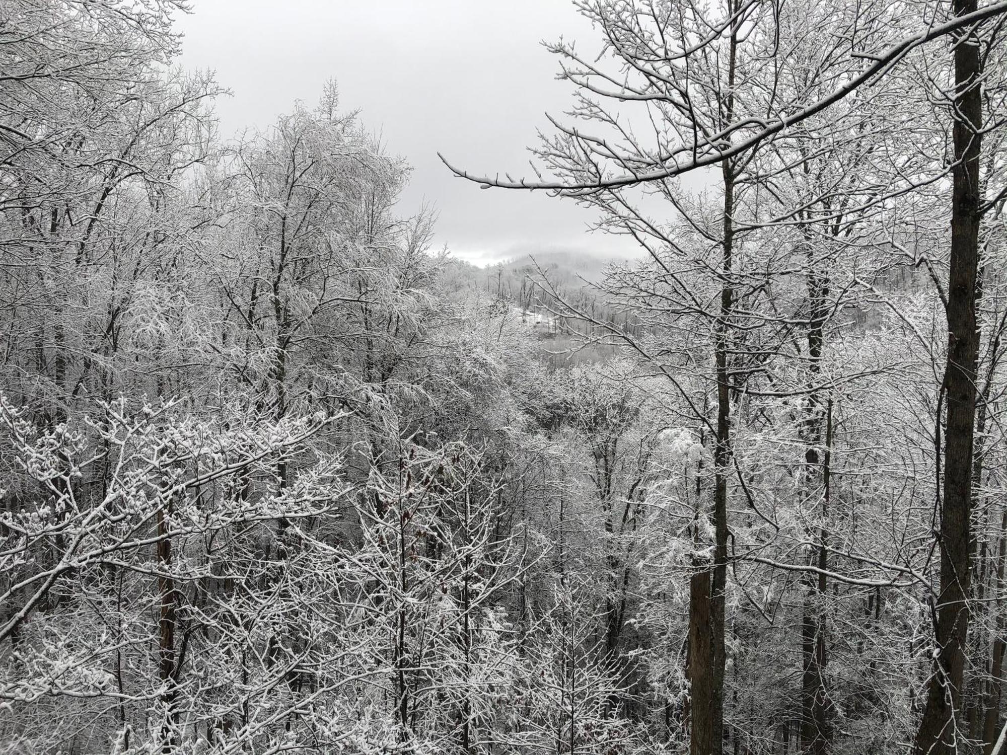 Black Bear Cove Gatlinburg Εξωτερικό φωτογραφία